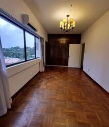 The Cairnhill (D9), Condominium #599723391